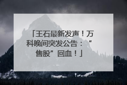 王石最新发声！万科晚间突发公告：“售股”回血！