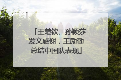 王楚钦、孙颖莎发文感谢，王励勤总结中国队表现