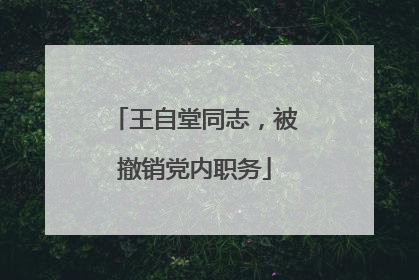 王自堂同志，被撤销党内职务
