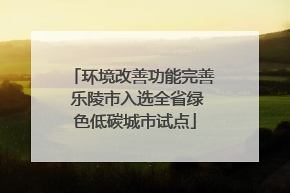 环境改善功能完善 乐陵市入选全省绿色低碳城市试点