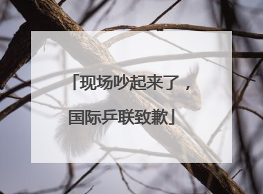 现场吵起来了，国际乒联致歉