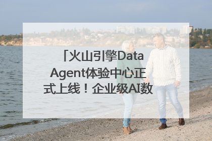 火山引擎Data Agent体验中心正式上线！企业级AI数据专家触手可及