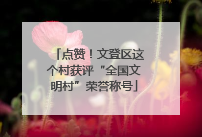 点赞！文登区这个村获评“全国文明村”荣誉称号