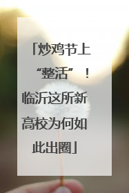 炒鸡节上“整活”！临沂这所新高校为何如此出圈