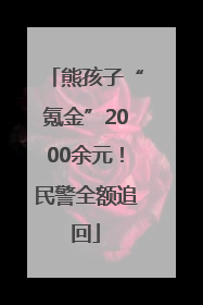 熊孩子“氪金”2000余元！民警全额追回