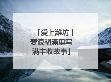 爱上潍坊丨麦浪翻涌里写满丰收故事
