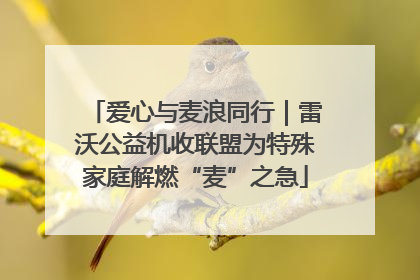 爱心与麦浪同行｜雷沃公益机收联盟为特殊家庭解燃“麦”之急