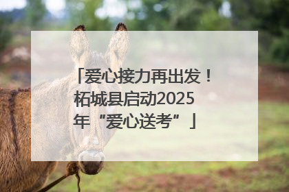 爱心接力再出发！柘城县启动2025年“爱心送考”