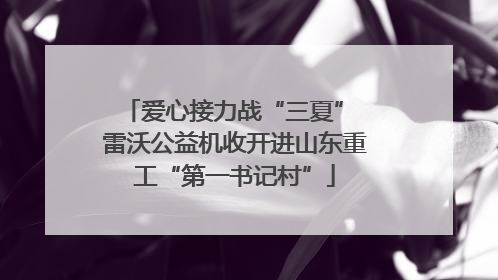 爱心接力战“三夏” 雷沃公益机收开进山东重工“第一书记村”