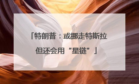 特朗普：或挪走特斯拉 但还会用“星链”