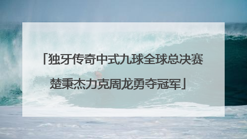 独牙传奇中式九球全球总决赛 楚秉杰力克周龙勇夺冠军