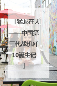 猛龙在天——中国第三代战机歼10诞生记