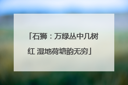 石狮：万绿丛中几树红 湿地荷塘韵无穷