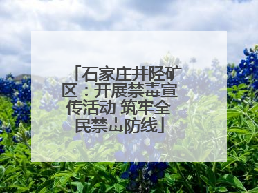 石家庄井陉矿区：开展禁毒宣传活动 筑牢全民禁毒防线