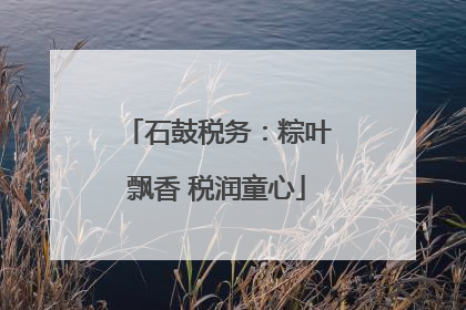 石鼓税务：粽叶飘香 税润童心