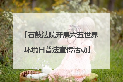 石鼓法院开展六五世界环境日普法宣传活动