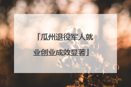 瓜州退役军人就业创业成效显著