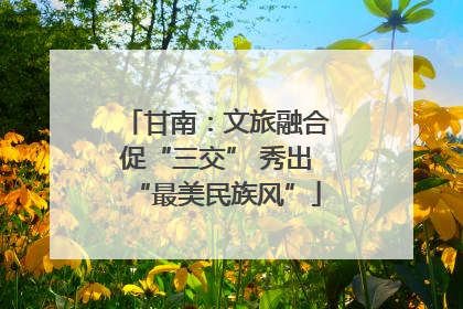 甘南：文旅融合促“三交” 秀出“最美民族风”