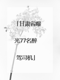 甘肃省曝光77名醉驾司机