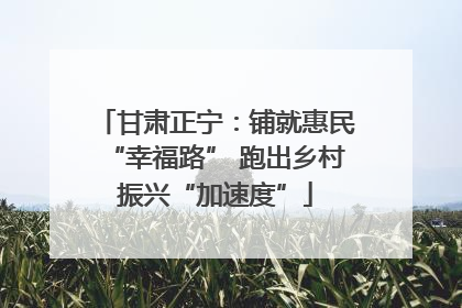 甘肃正宁：铺就惠民“幸福路” 跑出乡村振兴“加速度”