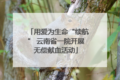 用爱为生命“续航” 云南省一院开展无偿献血活动