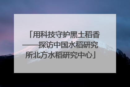 用科技守护黑土稻香——探访中国水稻研究所北方水稻研究中心