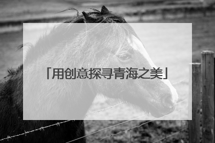用创意探寻青海之美