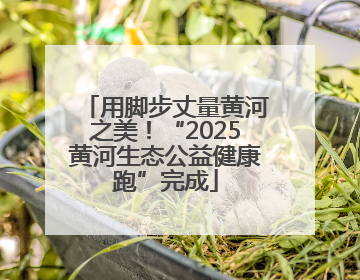 用脚步丈量黄河之美！“2025黄河生态公益健康跑”完成