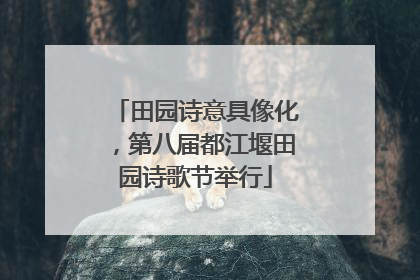 田园诗意具像化，第八届都江堰田园诗歌节举行