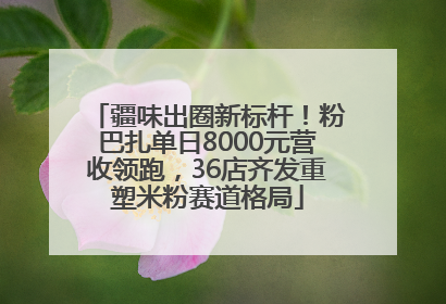 疆味出圈新标杆！粉巴扎单日8000元营收领跑，36店齐发重塑米粉赛道格局