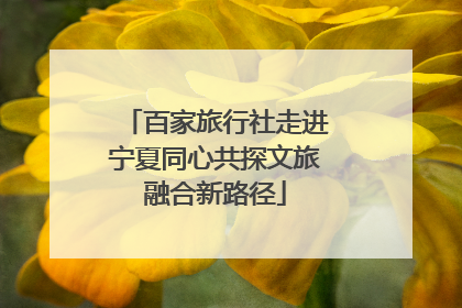 百家旅行社走进宁夏同心共探文旅融合新路径