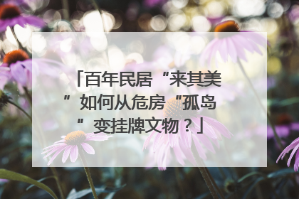 百年民居“来其美”如何从危房“孤岛”变挂牌文物？