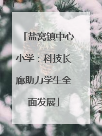 盐窝镇中心小学：科技长廊助力学生全面发展
