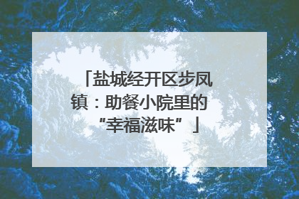 盐城经开区步凤镇：助餐小院里的“幸福滋味”