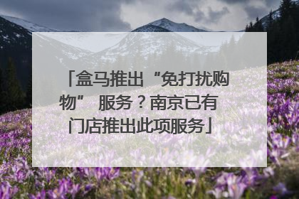 盒马推出“免打扰购物” 服务？南京已有门店推出此项服务