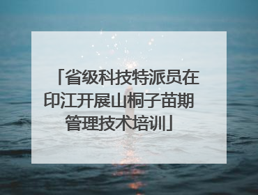 省级科技特派员在印江开展山桐子苗期管理技术培训