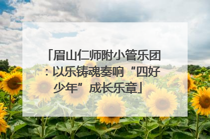 眉山仁师附小管乐团：以乐铸魂奏响“四好少年”成长乐章