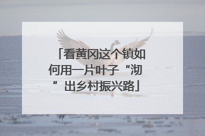 看黄冈这个镇如何用一片叶子“沏”出乡村振兴路