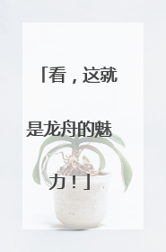 看，这就是龙舟的魅力！