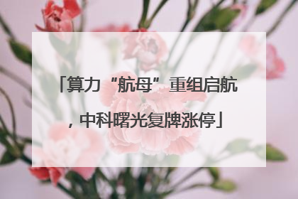 算力“航母”重组启航，中科曙光复牌涨停