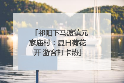 祁阳下马渡镇元家庙村：夏日荷花开 游客打卡热