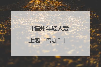 福州年轻人爱上泡“鸟咖”