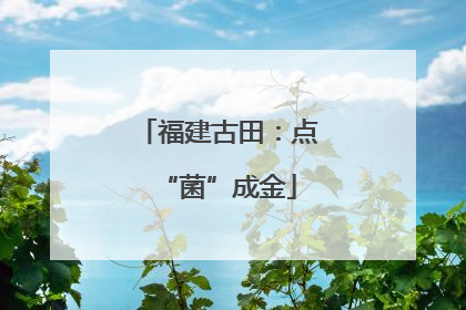 福建古田：点“菌”成金