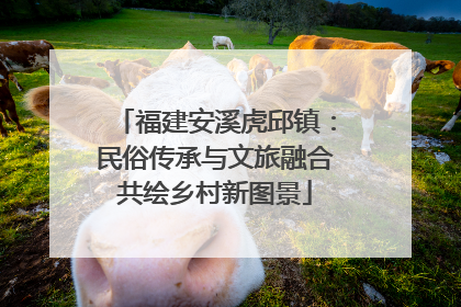 福建安溪虎邱镇：民俗传承与文旅融合共绘乡村新图景