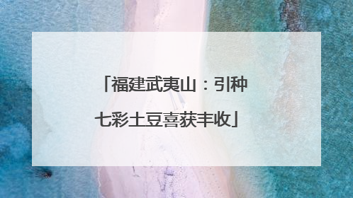 福建武夷山：引种七彩土豆喜获丰收