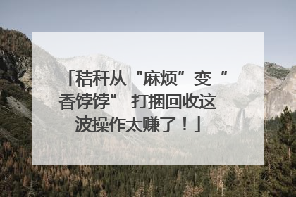 秸秆从“麻烦”变“香饽饽” 打捆回收这波操作太赚了！