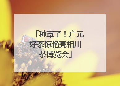 种草了！广元好茶惊艳亮相川茶博览会
