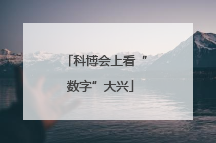 科博会上看“数字”大兴