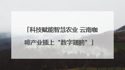 科技赋能智慧农业 云南咖啡产业插上“数字翅膀”