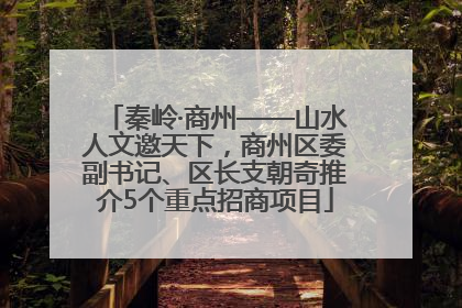 秦岭·商州——山水人文邀天下，商州区委副书记、区长支朝奇推介5个重点招商项目